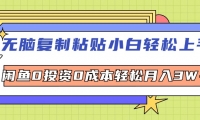 （12432期）无脑复制粘贴，小白轻松上手，电商0投资0成本轻松月入3W+