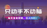 （12433期）只动手不动脑，每天发发视频，日入500+