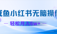 （12450期）2024赚钱的项目之一，轻松月入6万+，最新可变现项目