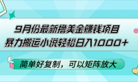 （12487期）9月份最新撸美金赚钱项目，暴力搬运小说轻松日入1000+，简单好复制可以...